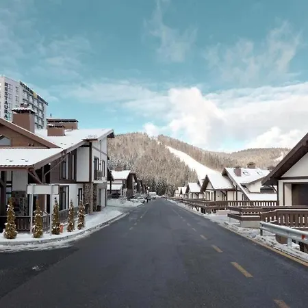 Mountain 4* 샬레 *